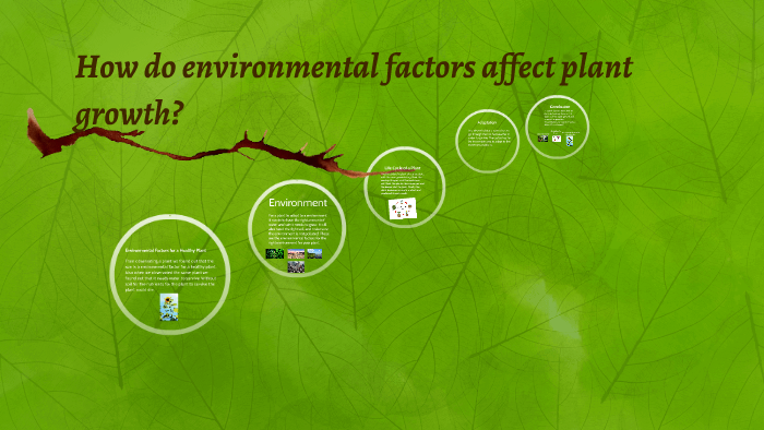 How Do Environmental Factors Affect Plant Growth By Susan Williams On 