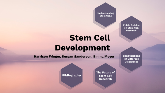 Stem Cell Development by Emma Meyer on Prezi