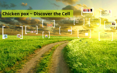 Chicken Pox - Biology by taylor pedersen on Prezi