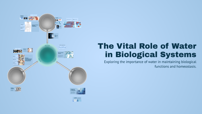 The Vital Role of Water in Biological Systems by afaf HRICH on Prezi