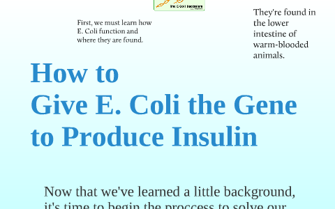 How E. Coli can Produce Insulin by Abby Rosenblum on Prezi