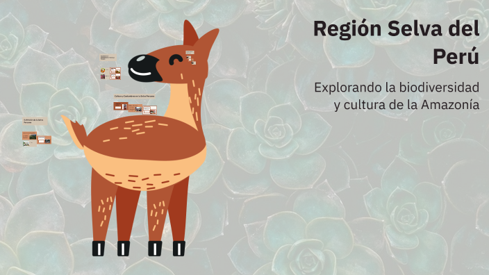 Región Selva del Perú by yuli tejada on Prezi