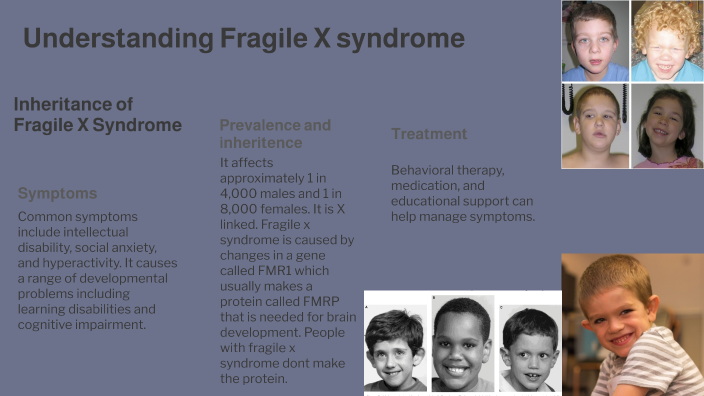 Understanding Fragile X Syndrome by Henry Mitchell _ Student ...