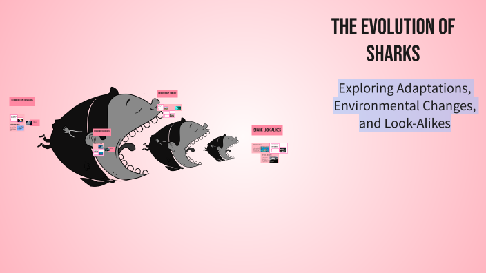 The Evolution of Sharks by Student Mason Earvin on Prezi