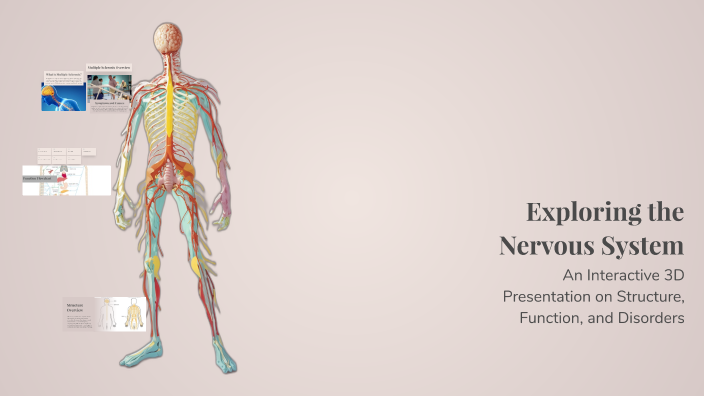 Exploring the Nervous System by joannrose morales on Prezi