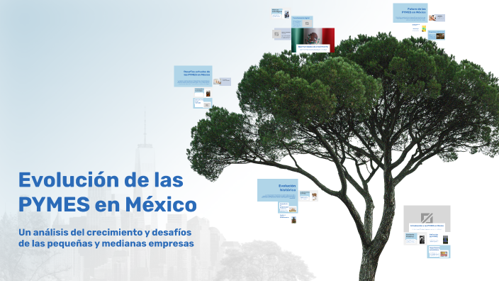 Evolución de las PYMES en México by COORDINACION DE LA CARRERA DE