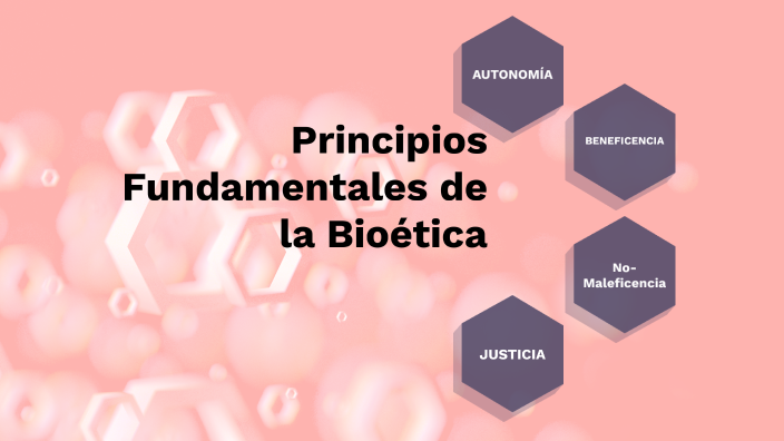 Principios Fundamentales De La Bioética By Daniela Ugalde On Prezi 0859