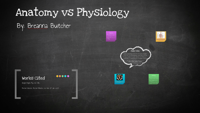 Anatomy vs Physiology by Breanna Butcher on Prezi