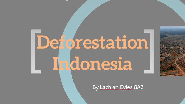 indonesia deforestation case study