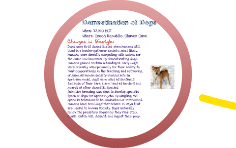 Important Domesticated Plants and Animals by Raj Shah on Prezi