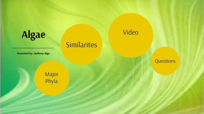Algae by Anthony Rigo on Prezi