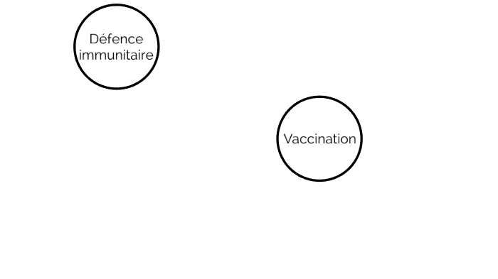 défense immunitaire et vaccination by Grégoire Pacault on Prezi