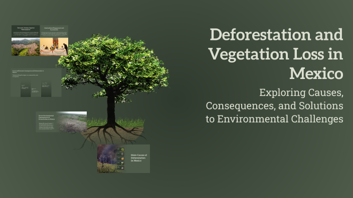 Deforestation and Vegetation Loss in Mexico by Abril Hernández on Prezi