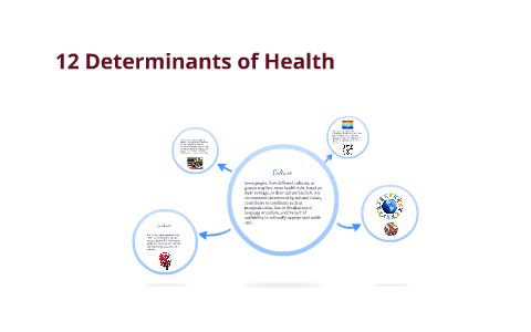 12 Determinants Of Health- Culture By Kieran Kennedy On Prezi