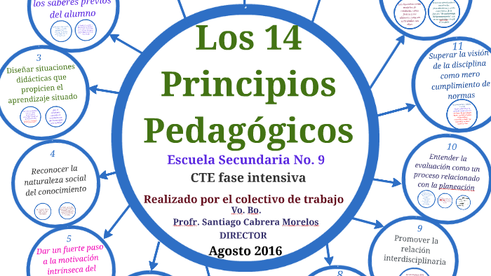 Principios Pedagogicos 5626