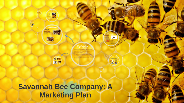 savannah bee company promo code