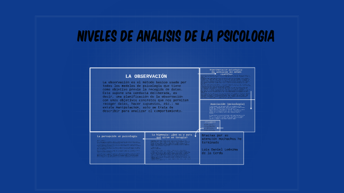 Diferentes Niveles De Analisis De La Psicologia