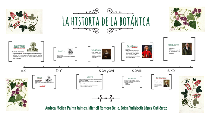 La Historia De La Botánica By Andrea Melisa P J On Prezi