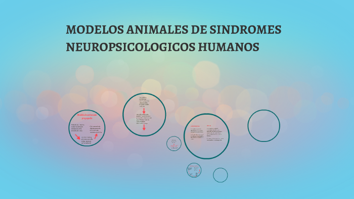 MODELOS ANIMALES DE SINDROMES NEUROPSICOLOGICOS HUMANOS by Hector