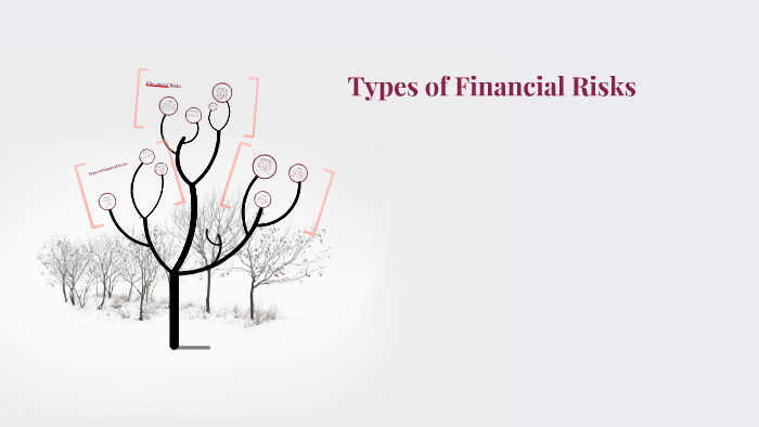 types-of-financial-risks-by-abbie-bertola