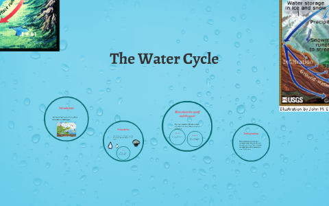 The Water Cycle by Addison Clark on Prezi