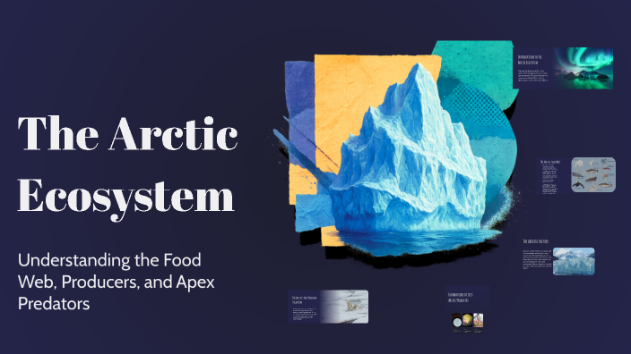 The Arctic Ecosystem by Akhil Vishnu on Prezi