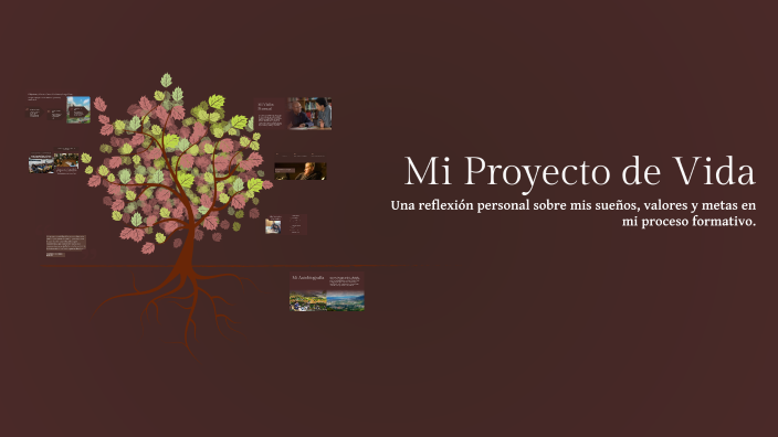 Mi Proyecto de Vida by Laura Alzate Lopez on Prezi