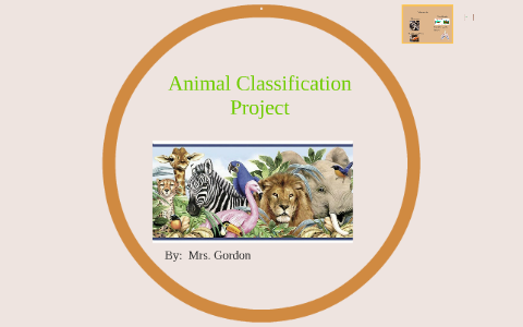 animal classification research project