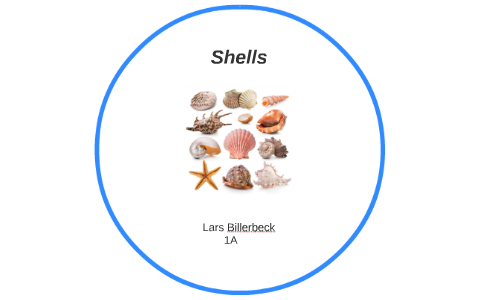 vole shells by Lars Billerbeck