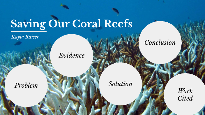 Final Speech coral reefs by Kayla Raiser on Prezi