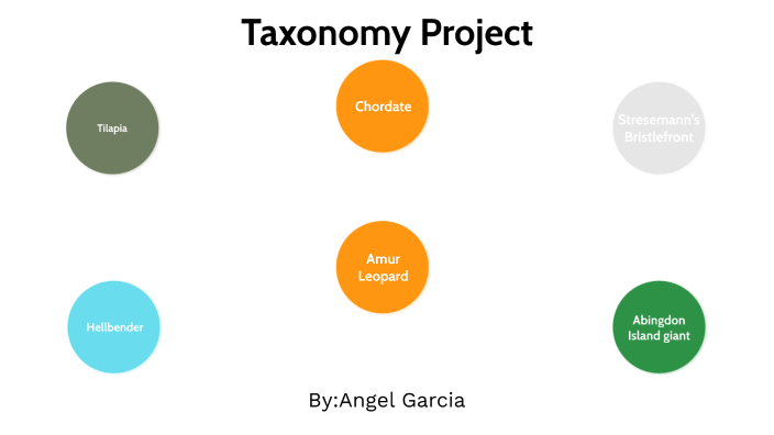 Taxonomy project by Angel Garcia on Prezi