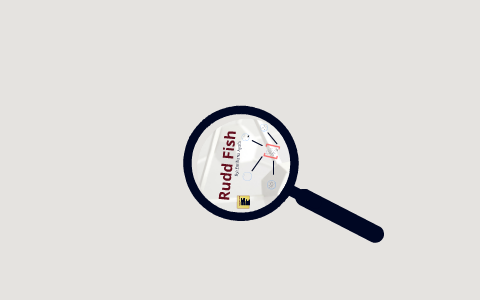 Invasive Species- Rudd fish by Emiliana Ayala on Prezi