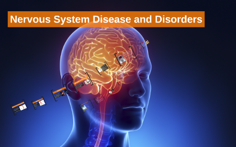 Nervous System Disease And Disorders By Catalina Gutierrez Zuluaga On Prezi   Usyaoumgyk6f4q6ksuyrmjwsll6jc3sachvcdoaizecfr3dnitcq 3 0 