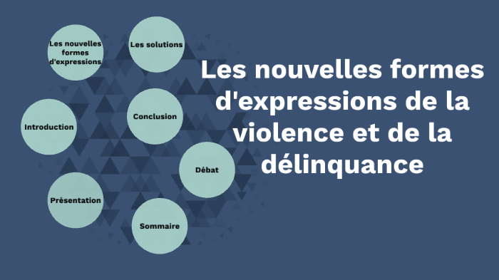 Les nouvelles formes d'expressions de la violence et de la délinquance