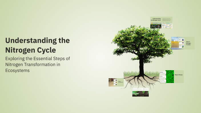 Understanding the Nitrogen Cycle by Salma Sadia on Prezi