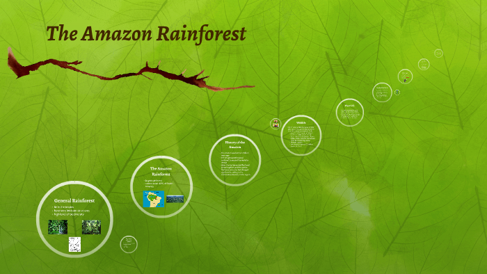 The Amazon Rainforest by Gisselle Marchi on Prezi