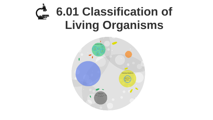 6.01 Classification of Living Organisms by Sierra Milligan