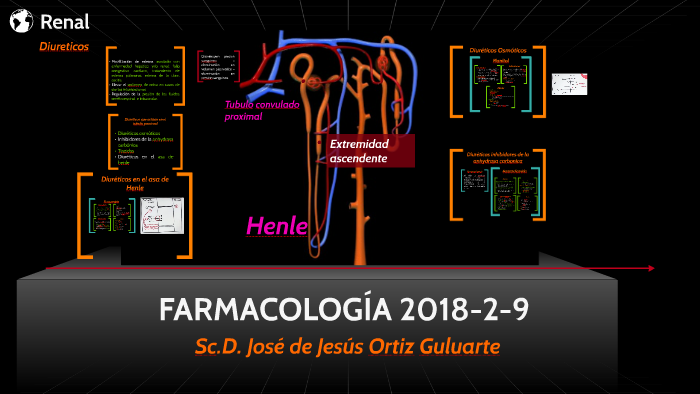 diureticos 2018 2 by jose ortiz on prezi diureticos