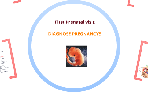 first prenatal visit labs
