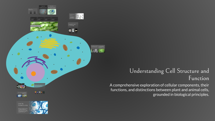Understanding Cell Structure and Function by Georgina Quiroga on Prezi