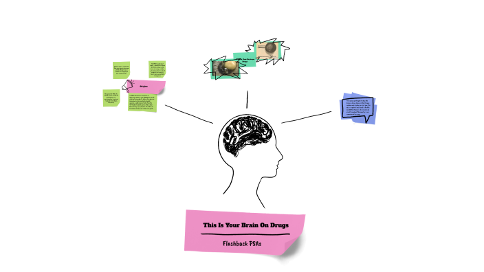Understanding Drug Addiction by Shiloh Ballantyne on Prezi