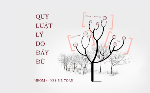 Quy LuẬt LÝ Do ĐẦy ĐỦ By Lolli Chili On Prezi