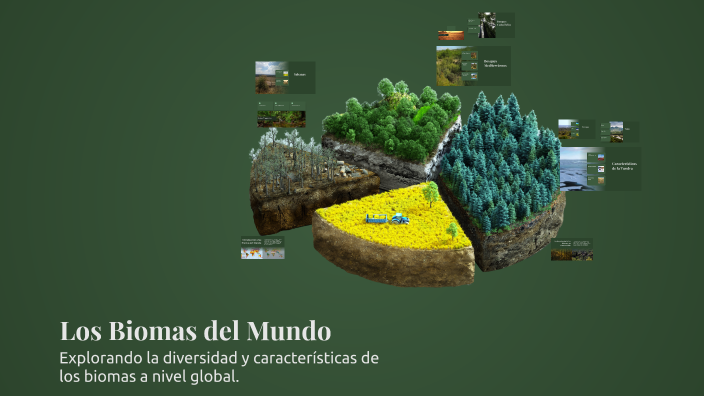 Los Biomas del Mundo by Francisco joel Tituana on Prezi