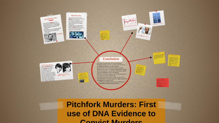 Dna Evidence And Its Repercussions