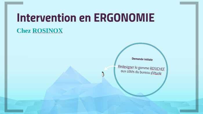 Intervention En ERGONOMIE By Nina PANN