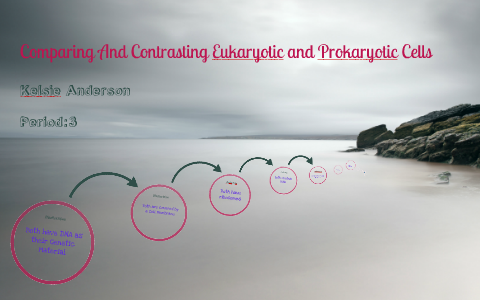 Comparing and Contrasting Cells by Kelsie Anderson on Prezi