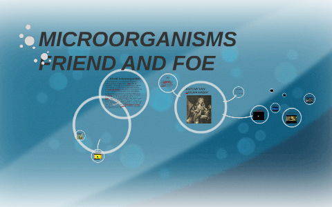 microorganisms friend and foe in hindi meaning