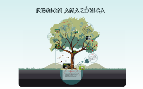 REGION AMAZONICA by Javier Barrera on Prezi