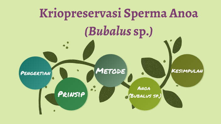 Kriopreservasi Sperma Anoa by Balqis Asri Salsabila on Prezi