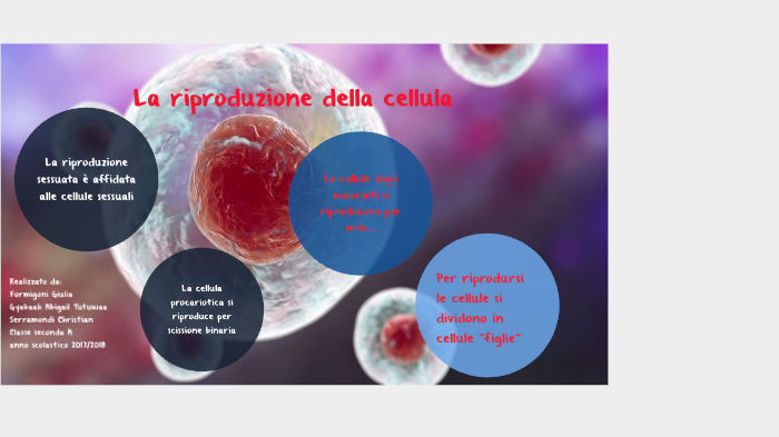 La riproduzione della cellula by giulia formigoni on Prezi